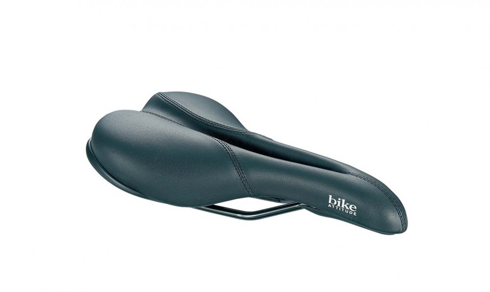 Bike Attitude Race D2