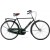 Raleigh Tourist De Luxe Hr 3g/7g Mørkegrøn